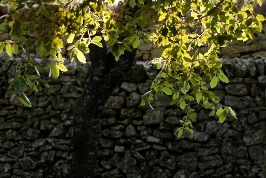 Agriturismo Iazzo Scagno Martina Franca Kültér fotó