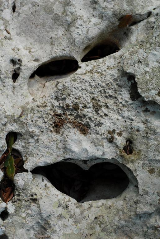 Agriturismo Iazzo Scagno Martina Franca Kültér fotó