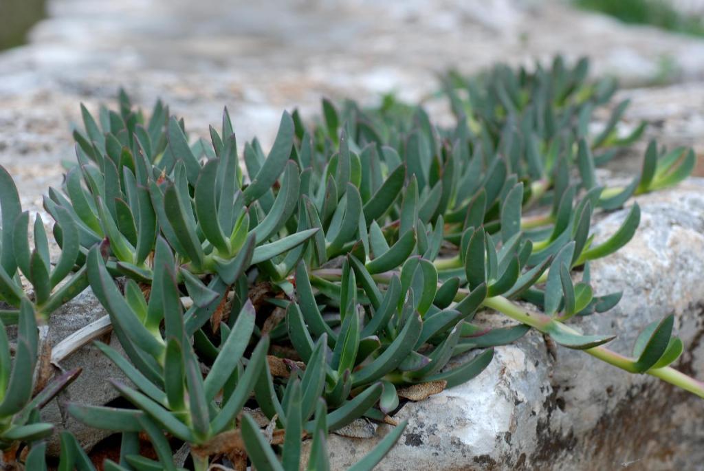 Agriturismo Iazzo Scagno Martina Franca Kültér fotó