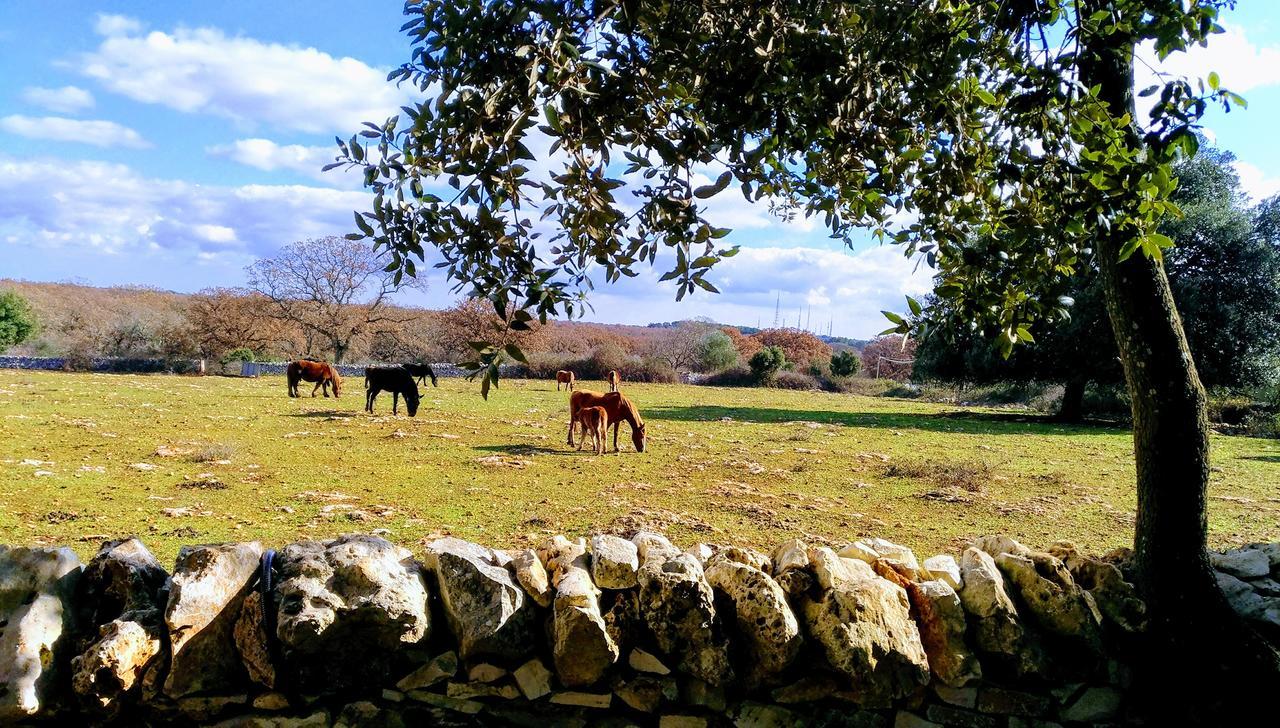 Agriturismo Iazzo Scagno Martina Franca Kültér fotó