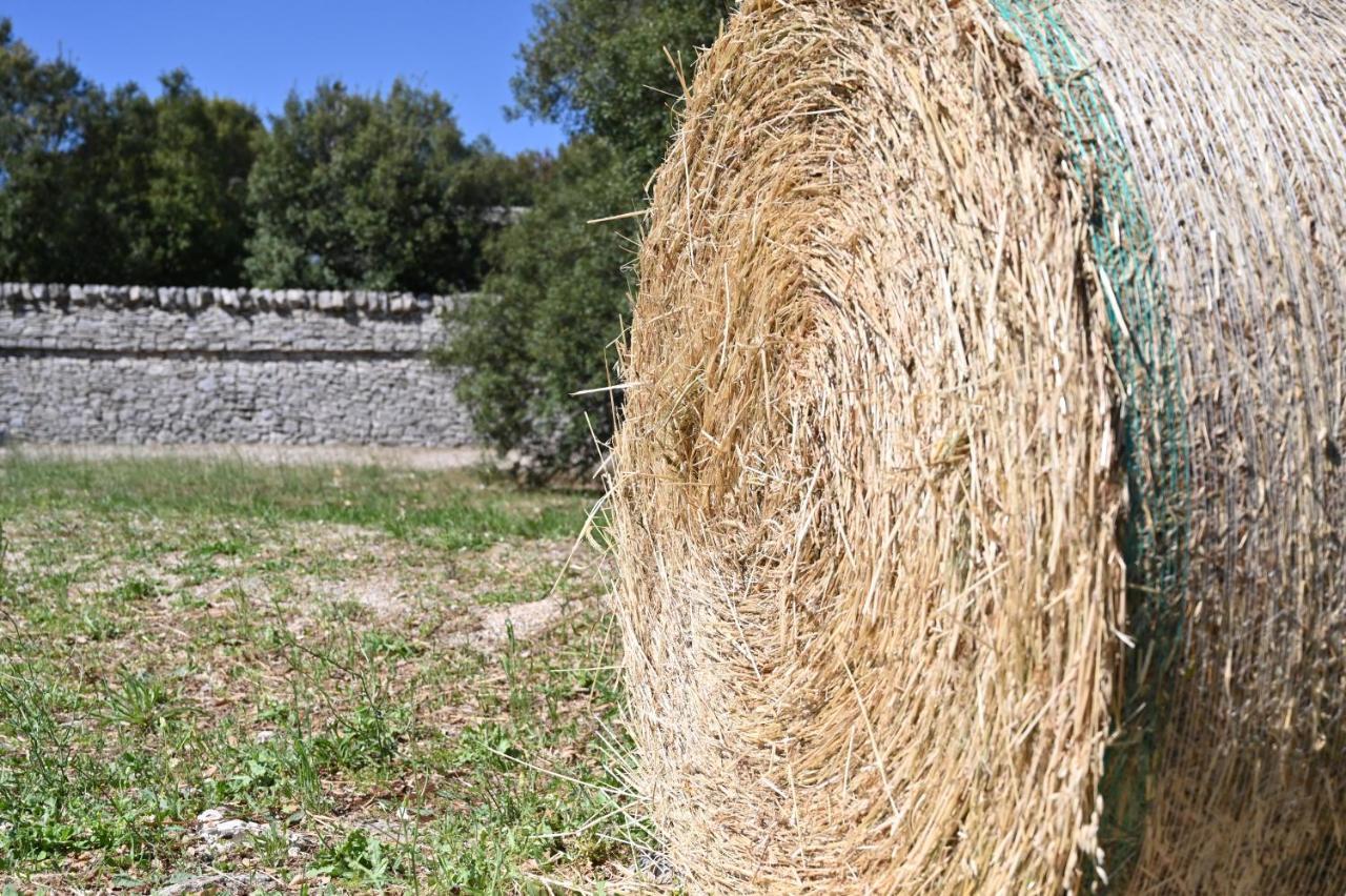 Agriturismo Iazzo Scagno Martina Franca Kültér fotó
